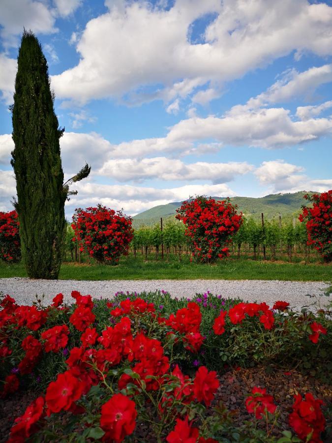 Pizzulin - Wine & Living Villa Prepotto  Exterior photo