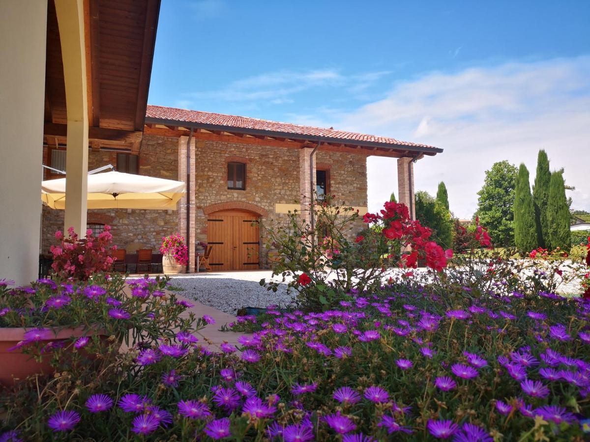 Pizzulin - Wine & Living Villa Prepotto  Exterior photo